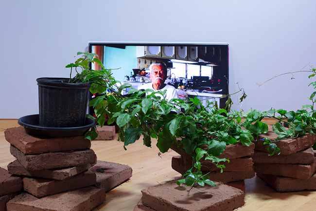 Installation view of Battin' A Hundred: 2020 MFA Graduation Exhibition at USF Contemporary Art Museum. Photo: Will Lytch.